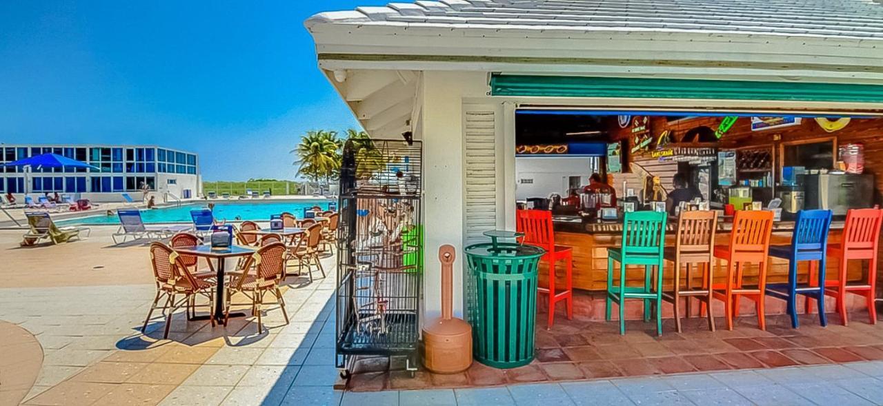 Castle 1131 Villa Miami Beach Dış mekan fotoğraf